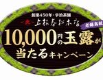 ティーフラボン「玉露キャンペーン」